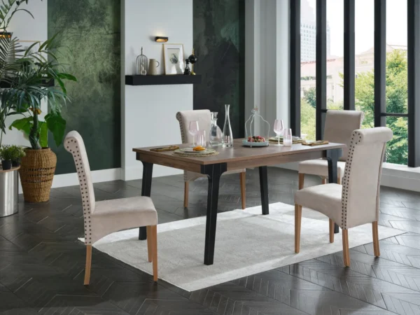 margo-modern-dining-chair-1.webp